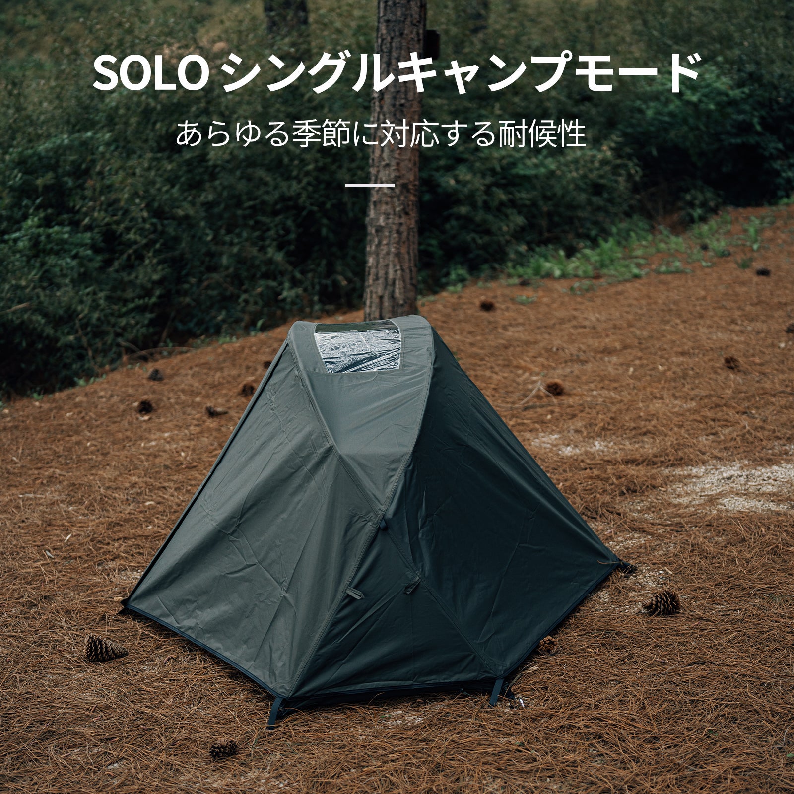 Springhill蓬莱メッシュシングルテント 1人用 収納コンパクト 軽量化